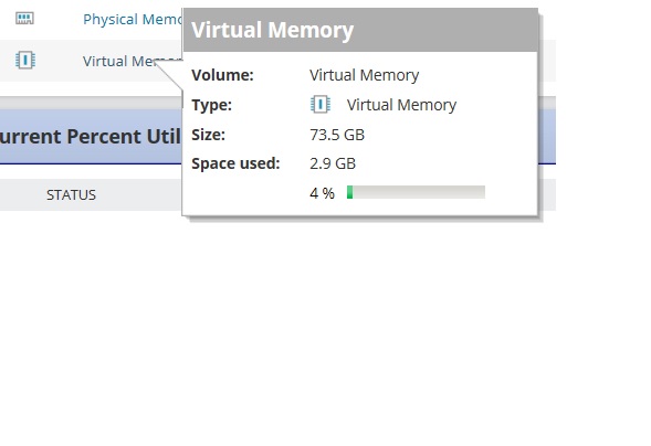 Virtual Memory Greyed Out.jpg